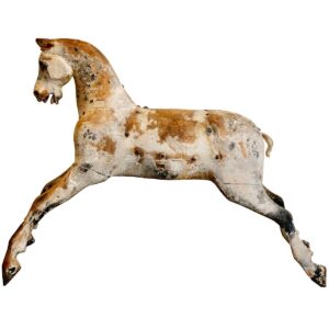 a close up of an animal